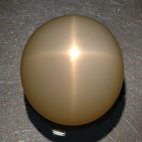 87,90 ctw natürlicher cream Stern-Mondstein, Transparent, Transparent / Lichtdurchlässig