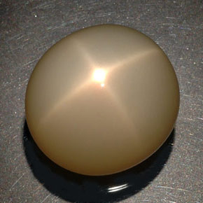 87,90 ctw natürlicher cream Stern-Mondstein, Transparent, Transparent / Lichtdurchlässig