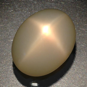 56,38 ctw natürlicher cream Stern-Mondstein, Transparent, Transparent / Lichtdurchlässig