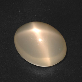 17,40 ctw natürlicher cream Stern-Mondstein, Oval Schliff, Lichtdurchlässig
