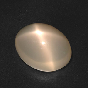 17,40 ctw natürlicher cream Stern-Mondstein, Oval Schliff, Lichtdurchlässig