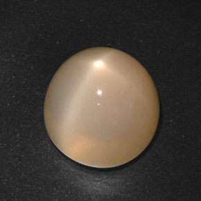 21,40 ctw natürlicher cream Stern-Mondstein, Rundschliff, Lichtdurchlässig