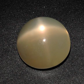 11,49 ctw natürlicher cream Stern-Mondstein, Transparent, Transparent / Lichtdurchlässig