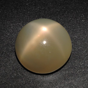 11,49 ctw natürlicher cream Stern-Mondstein, Transparent, Transparent / Lichtdurchlässig
