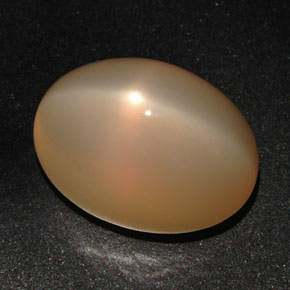 22,59 ctw natürlicher orangefarbener Stern-Mondstein, Oval Schliff, Lichtdurchlässig