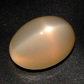 22,59 ctw natürlicher orangefarbener Stern-Mondstein, Oval Schliff, Lichtdurchlässig