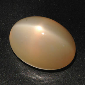 22,59 ctw natürlicher orangefarbener Stern-Mondstein, Oval Schliff, Lichtdurchlässig