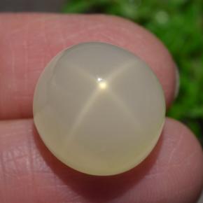 15,93 ctw natürlicher cream Stern-Mondstein, Oval Schliff, Lichtdurchlässig