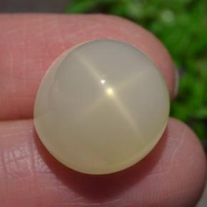 15,93 ctw natürlicher cream Stern-Mondstein, Oval Schliff, Lichtdurchlässig