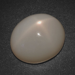 20,07 ctw natürlicher cream Stern-Mondstein, Oval Schliff, Lichtdurchlässig