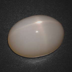 18,30 ctw natürlicher cream Stern-Mondstein, Oval Schliff, Lichtdurchlässig