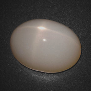 18,30 ctw natürlicher cream Stern-Mondstein, Oval Schliff, Lichtdurchlässig