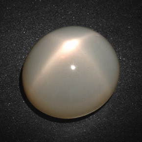 19,33 ctw natürlicher cream Stern-Mondstein, Oval Schliff, Lichtdurchlässig