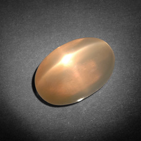 7,71 ctw natürlicher cream Stern-Mondstein, Transparent, Transparent / Lichtdurchlässig