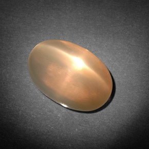 7,71 ctw natürlicher cream Stern-Mondstein, Transparent, Transparent / Lichtdurchlässig