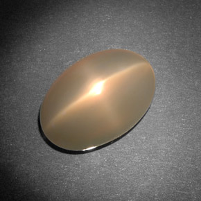 8,29 ctw natürlicher cream Stern-Mondstein, Transparent, Transparent / Lichtdurchlässig