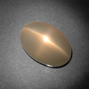 8,29 ctw natürlicher cream Stern-Mondstein, Transparent, Transparent / Lichtdurchlässig
