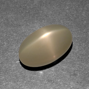 9,13 ctw natürlicher cream Stern-Mondstein, Transparent, Transparent / Lichtdurchlässig