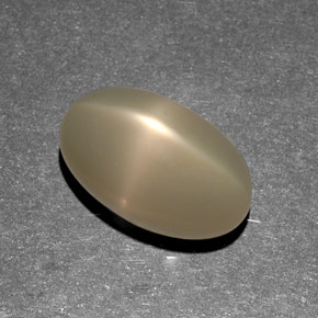 9,13 ctw natürlicher cream Stern-Mondstein, Transparent, Transparent / Lichtdurchlässig