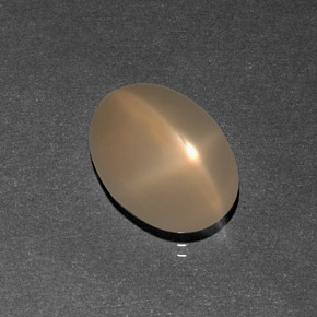 7,09 ctw natürlicher cream Stern-Mondstein, Transparent, Transparent / Lichtdurchlässig