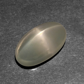 9,37 ctw natürlicher cream Stern-Mondstein, Transparent, Transparent / Lichtdurchlässig