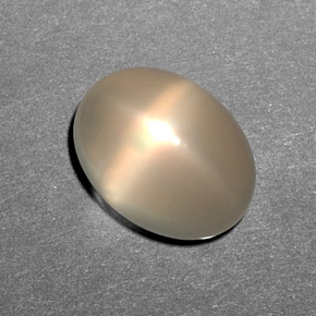 10,79 ctw natürlicher cream Stern-Mondstein, Transparent, Transparent / Lichtdurchlässig