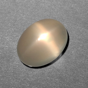 10,79 ctw natürlicher cream Stern-Mondstein, Transparent, Transparent / Lichtdurchlässig