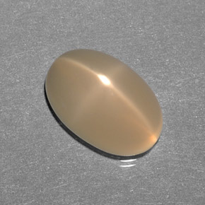 9,17 ctw natürlicher Creme Sternmondstein, Transparent, Transparent / Lichtdurchlässig