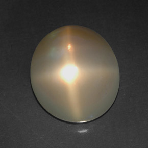 4,91 ctw natürlicher cream Stern-Mondstein, Transparent, Transparent / Lichtdurchlässig