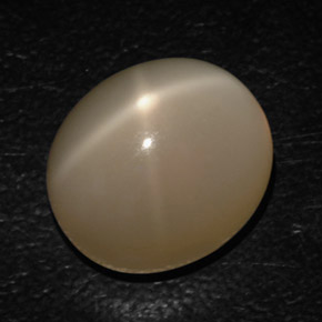 16,54 ctw natürlicher cream Stern-Mondstein, Transparent, Transparent / Lichtdurchlässig