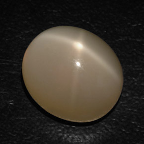 16,54 ctw natürlicher cream Stern-Mondstein, Transparent, Transparent / Lichtdurchlässig