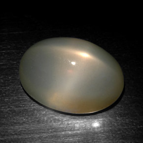 18,57 ctw natürlicher grauer Stern-Mondstein, Oval Schliff, Lichtdurchlässig