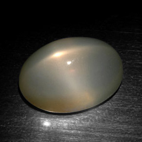 18,57 ctw natürlicher grauer Stern-Mondstein, Oval Schliff, Lichtdurchlässig