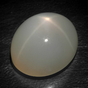 15,93 ctw natürlicher grauer Stern-Mondstein, Oval Schliff, Lichtdurchlässig