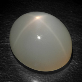 15,93 ctw natürlicher grauer Stern-Mondstein, Oval Schliff, Lichtdurchlässig