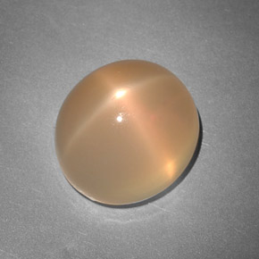 7,48 ctw natürlicher orangefarbener Stern-Mondstein, Transparent, Transparent / Lichtdurchlässig