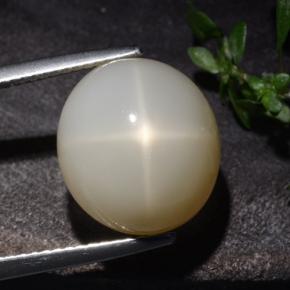 10,60 ctw natürlicher cream Stern-Mondstein, Oval Schliff, Lichtdurchlässig