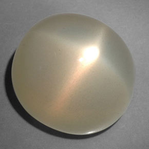 21,67 ctw natürlicher cream Stern-Mondstein, Transparent, Transparent / Lichtdurchlässig