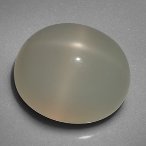 19,29 ctw natürlicher cream Stern-Mondstein, Transparent, Transparent / Lichtdurchlässig