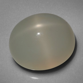19,29 ctw natürlicher cream Stern-Mondstein, Transparent, Transparent / Lichtdurchlässig