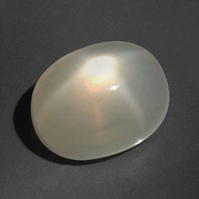 16,60 ctw natürlicher cream Stern-Mondstein, Transparent, Transparent / Lichtdurchlässig