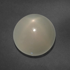 15,64 ctw natürlicher weißer Stern-Mondstein, Transparent, Transparent / Lichtdurchlässig