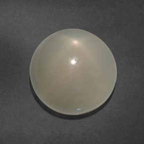 15,64 ctw natürlicher weißer Stern-Mondstein, Transparent, Transparent / Lichtdurchlässig