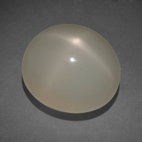 14,00 ctw natürlicher cream Stern-Mondstein, Transparent, Transparent / Lichtdurchlässig