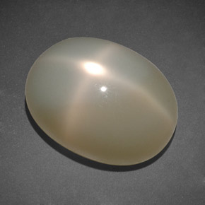 9,17 ctw natürlicher milchweiß Sternmondstein, Transparent, Transparent / Lichtdurchlässig