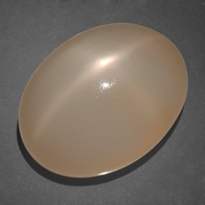 19,69 ctw natürlicher orangefarbener Stern-Mondstein, Transparent, Transparent / Lichtdurchlässig