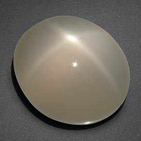 20,40 ctw natürlicher cream Stern-Mondstein, Transparent, Transparent / Lichtdurchlässig
