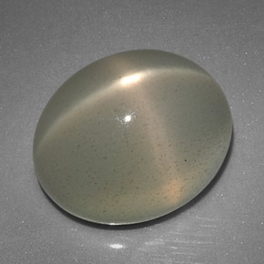 12,51 ctw natürlicher cream Stern-Mondstein, Transparent, Transparent / Lichtdurchlässig