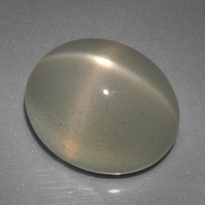 12,51 ctw natürlicher cream Stern-Mondstein, Transparent, Transparent / Lichtdurchlässig