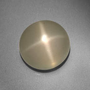 13,66 ctw natürlicher cream Stern-Mondstein, Rundschliff, Lichtdurchlässig